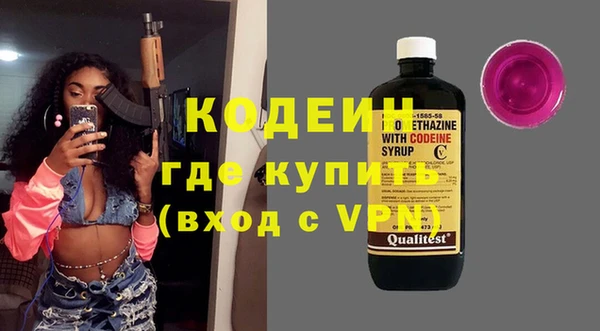 молекула духа Арсеньев