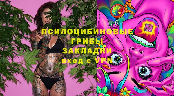 молекула духа Арсеньев