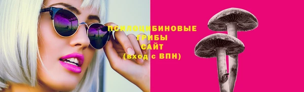 молекула духа Арсеньев