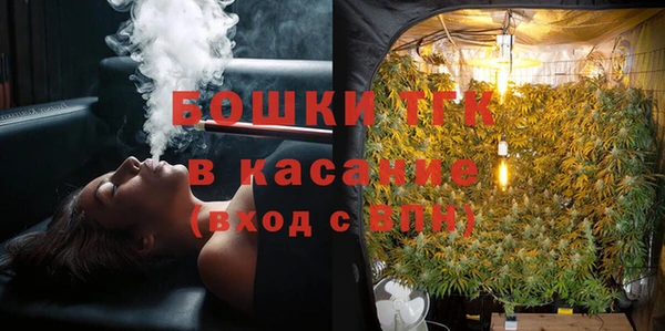 молекула духа Арсеньев