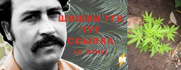 молекула духа Арсеньев
