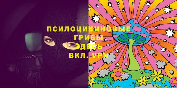 молекула духа Арсеньев