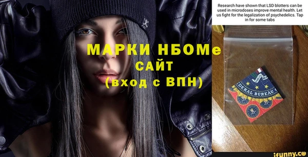молекула духа Арсеньев